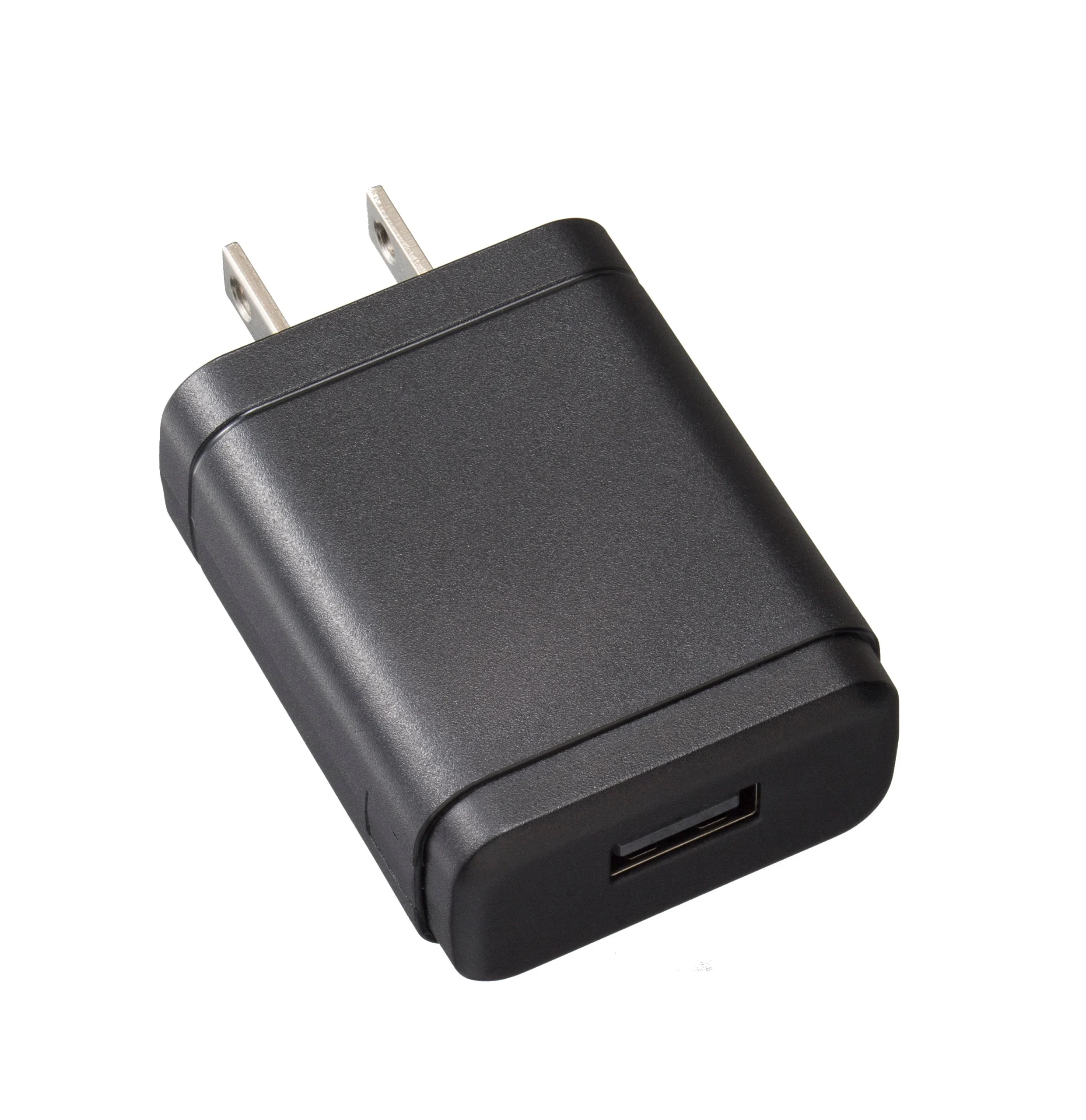 Standard SAD-17C AC Charger 220v for Use with HX300