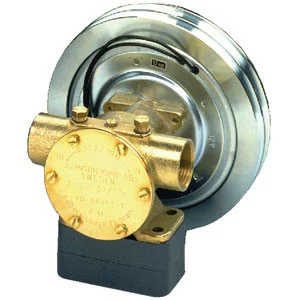 Johnson Pump F7B-50017 1 Npt With 12 Volt 10-24577-98-1