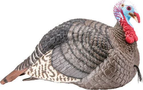 Hunters Specialties Hs Strut Turkey Decoy Jake – Marine Boat Replacement Part