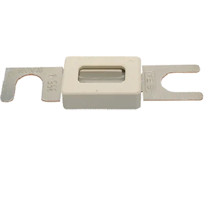 Strip Fuse C20 - 100 Amp.