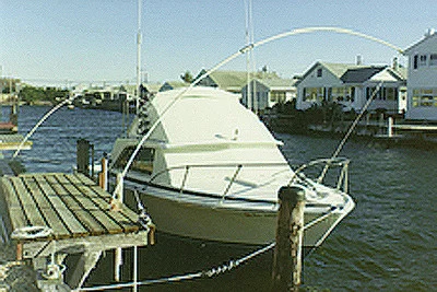 Monarch Mooring Whips - Whip Mini Std Duty W/adj. Base - 0S
