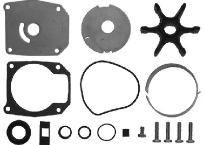 Sierra - 432956 E/j Wtr Pumpkit 432955 - 18-3387
