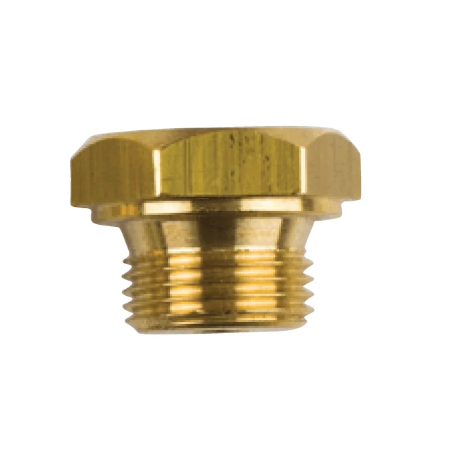 Zinc anode Bukh Pencil anode engine Ø0.47 * 1.37inch, complete kit with Plug 3/8 '' UNC