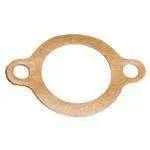 Sherwood Gasket 10171