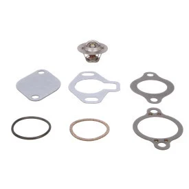 OEM Quicksilver/Mercury Thermostat Kit- 160 Degree 807252Q5