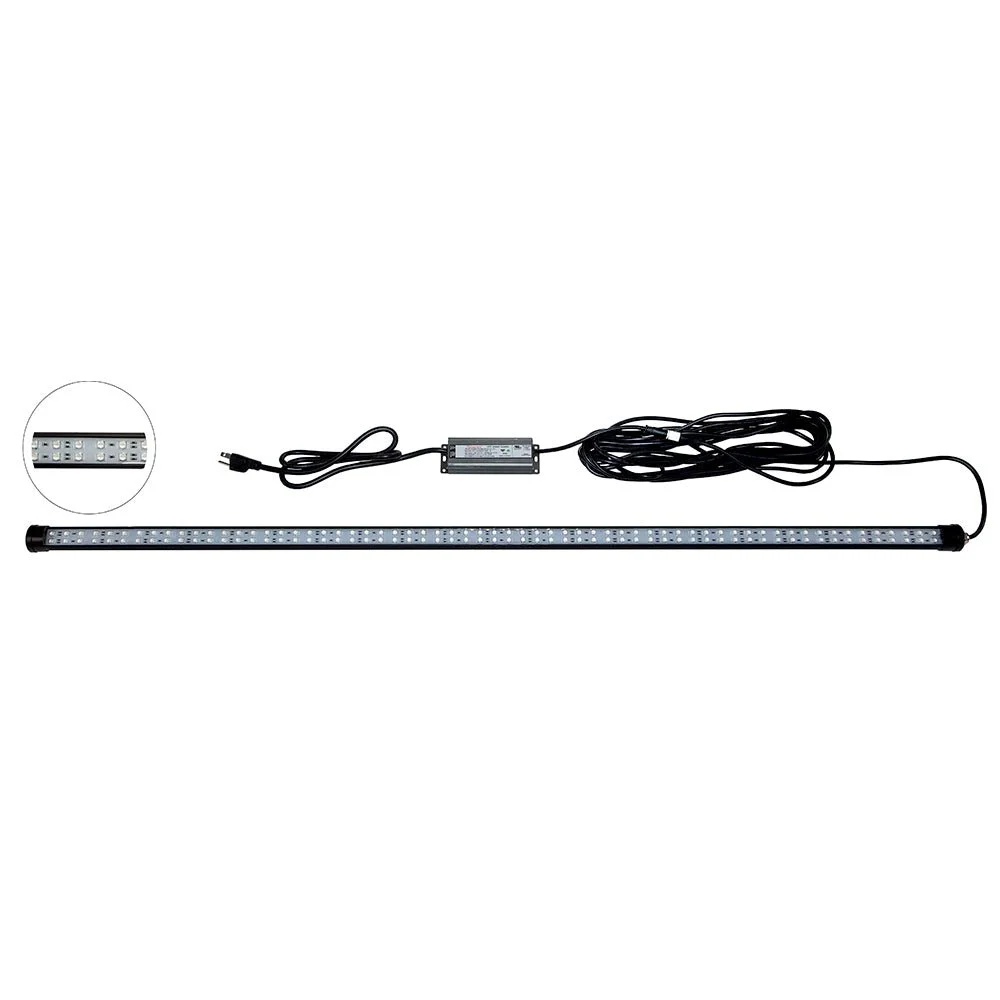 Hydro Glow DM260B 40W/120VAC Dock Mounted Fishing Light - Blue – Marine Boat Replacement Part
