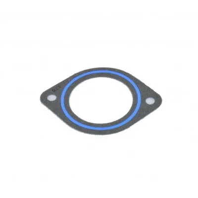PCM Gasket RM0309