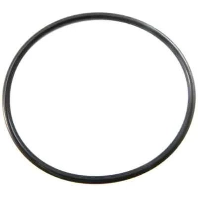 PCM O-Ring R047203